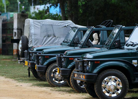 Jeep Safari Panna National Park