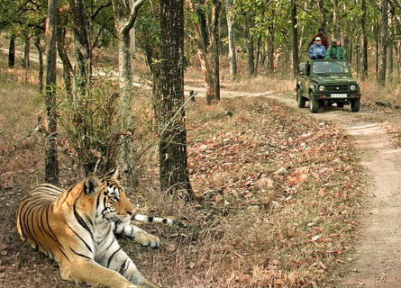 Pench National Park